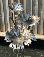 e. 3 Leaf Gunnera.jpg